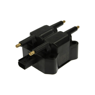 Bobina inductie Borgwarner (beru) ZS382