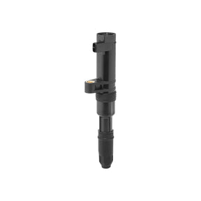 Bobina inductie Borgwarner (beru) ZS552