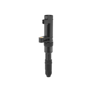 Bobina inductie Borgwarner (beru) ZS552