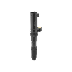 Bobina inductie Borgwarner (beru) ZS552 – imagine 2