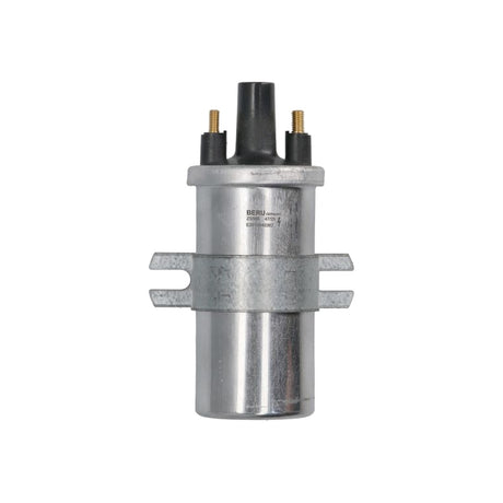 Bobina inductie Borgwarner (beru) ZS566