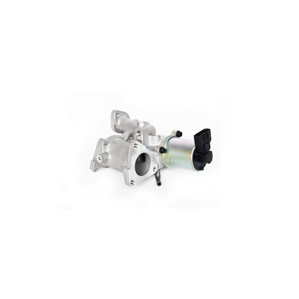 Supapa EGR Denkai DK33169