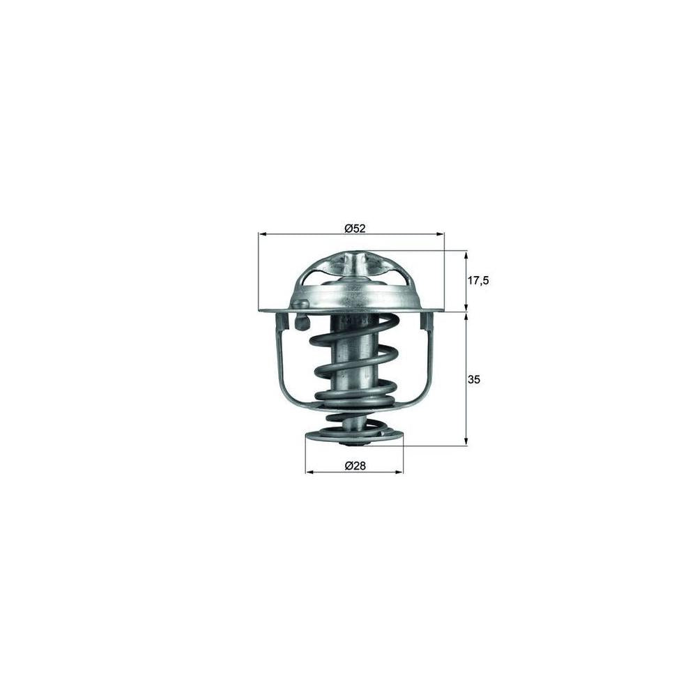 Termostat lichid racire Denkai DK102535