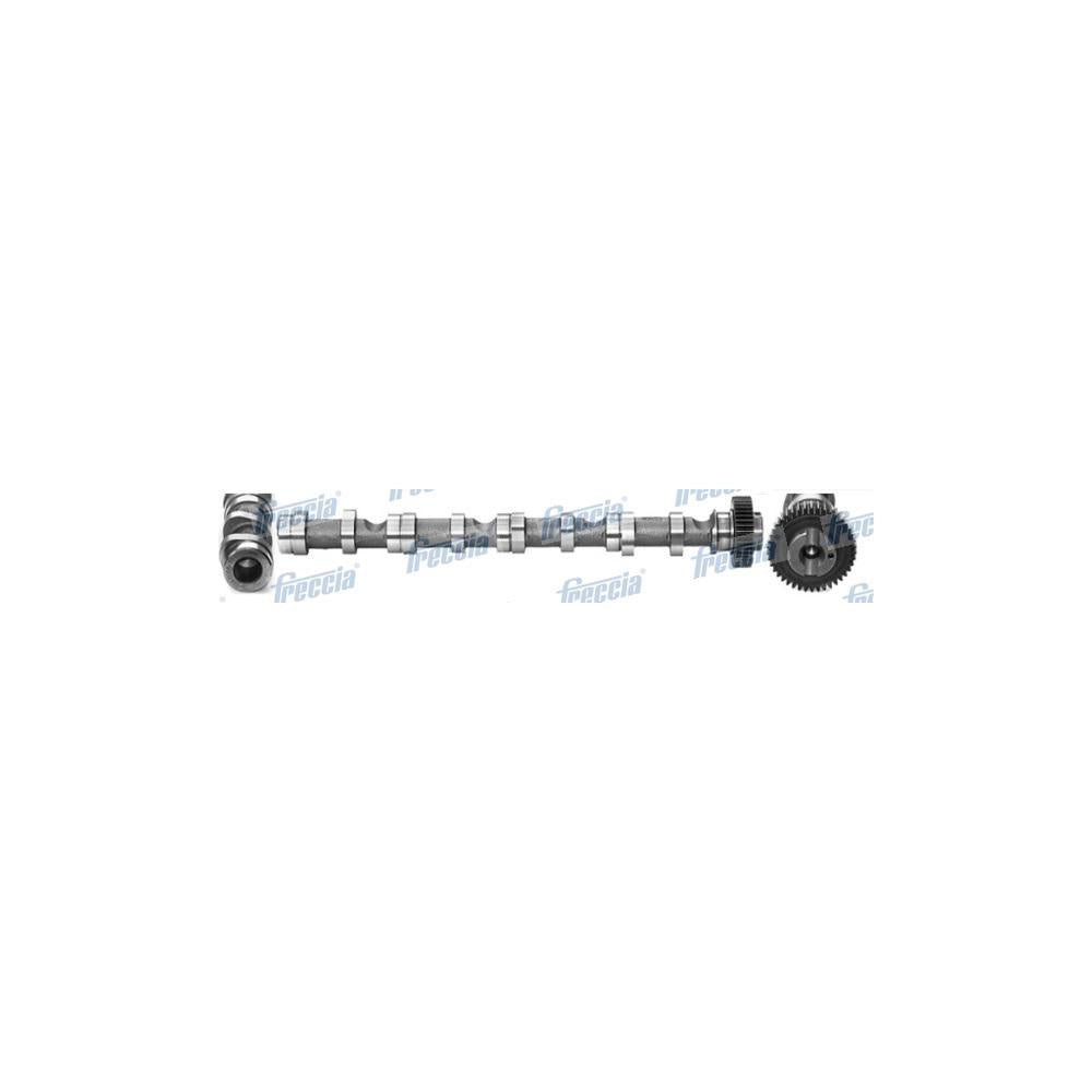 Ax came Freccia CM05-2195