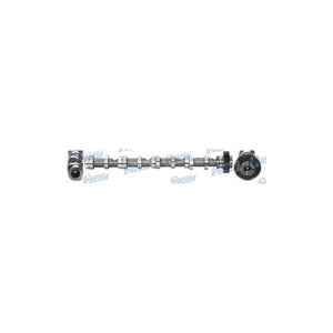 Ax came Freccia CM05-2195