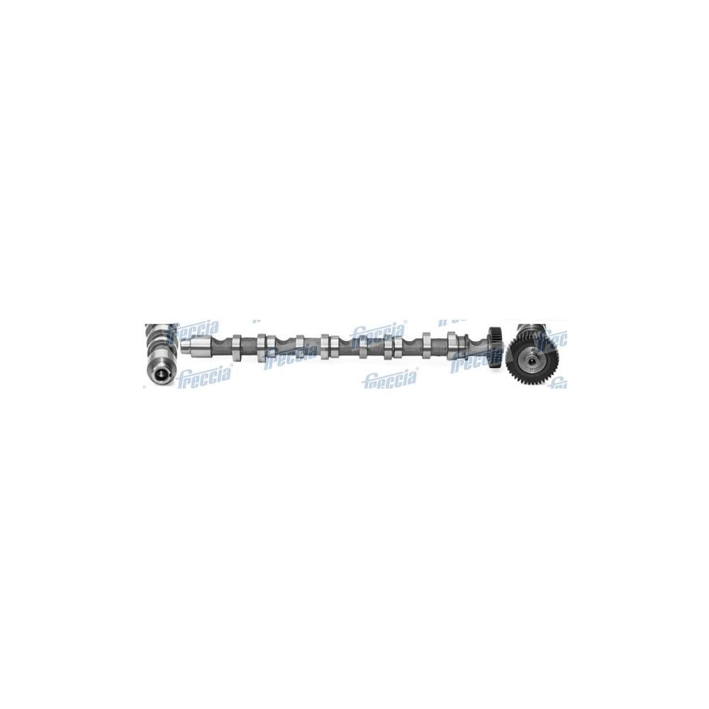 Ax came Freccia CM05-2196