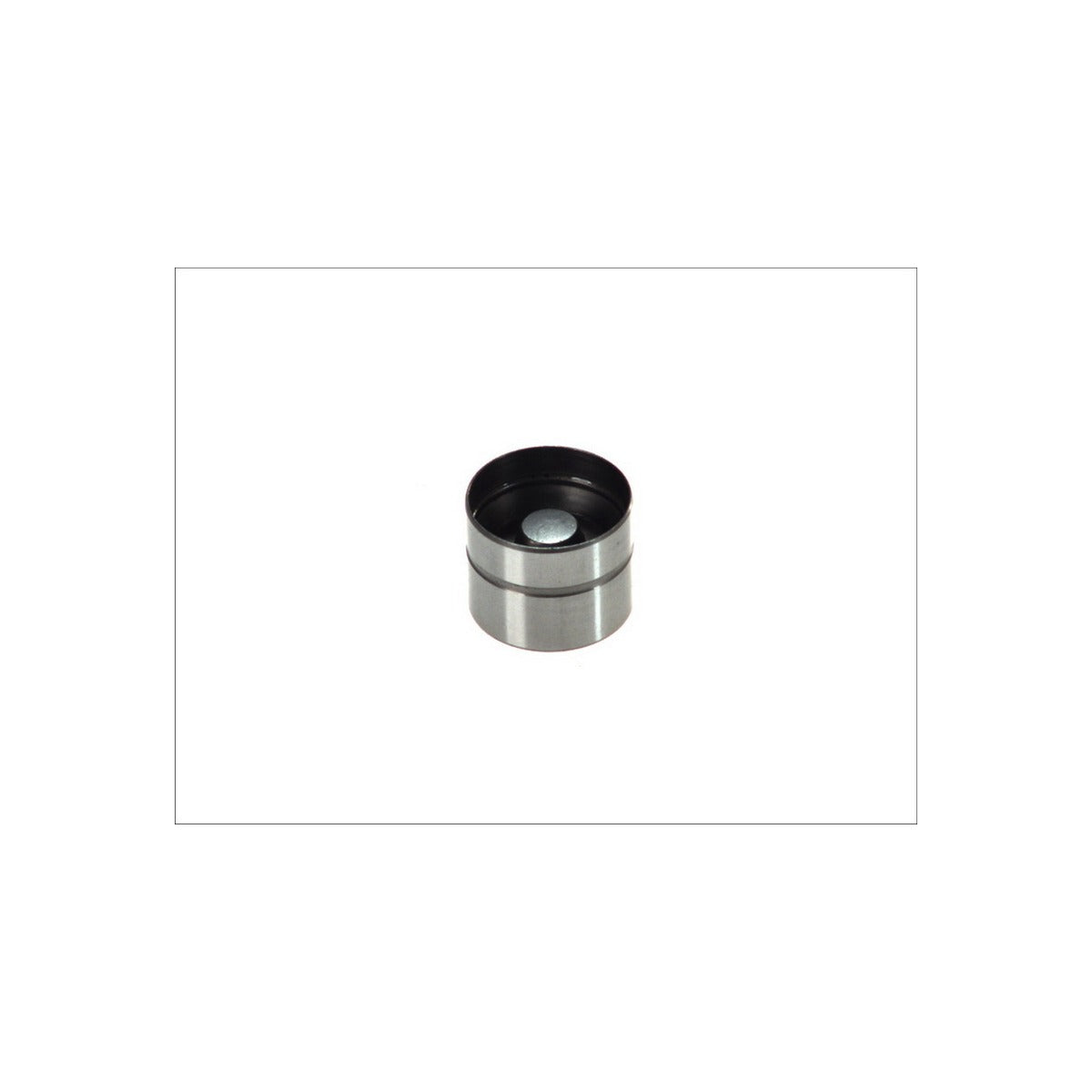 Tachet hidraulic Schaeffler INA 420 0050 10