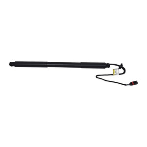 Amortizor portbagaj electric dr. Asam Automotive 100168