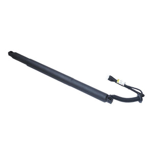 Amortizor portbagaj electric dr. Asam Automotive 100182