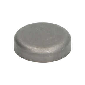 Dop antiinghet bloc motor SDF 01148031