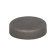 Dop antiinghet bloc motor SDF 01148032