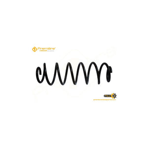 Arc suspensie spate Premiere SR.227