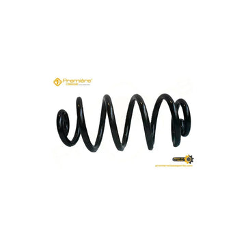 Arc suspensie spate Premiere SR.169