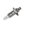 Bec Magneti Marelli H1 12V 55W P14,5s 002551100000