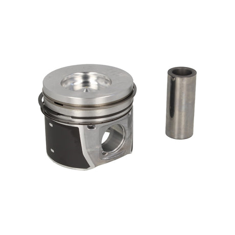 Piston Mahle 016 02 00