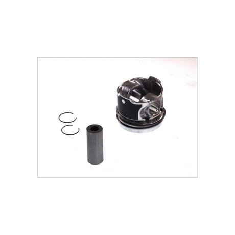 Piston Mahle 022 01 00