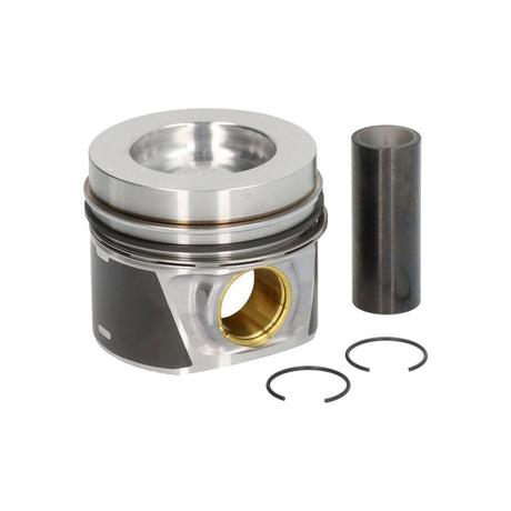 Piston Mahle 028 PI 00100 000