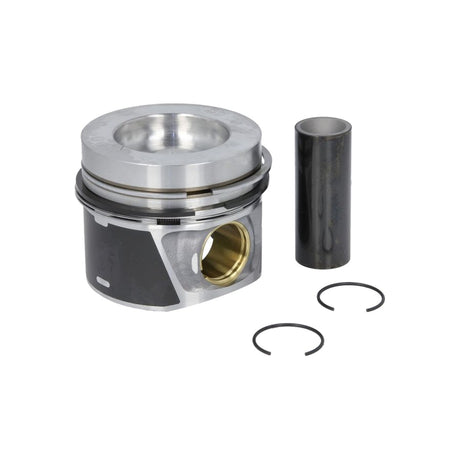 Piston Mahle 028 PI 00116 000