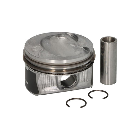 Piston Mahle 028 PI 00117 000