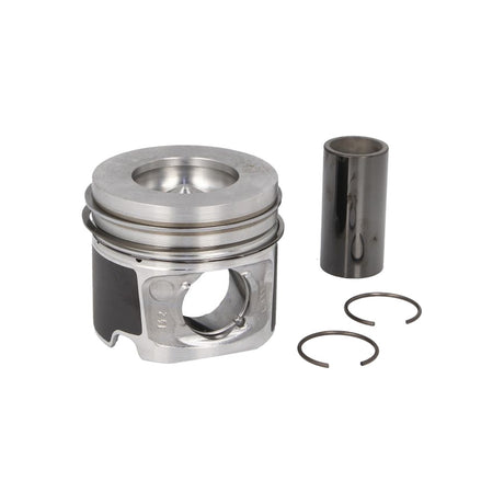 Piston Mahle 081 PI 00100 000