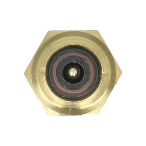 Senzor temperatura ulei SDF 01177066 – imagine 2