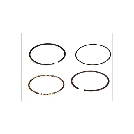 Set segmenti piston Mahle 012 23 N0