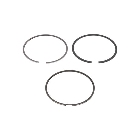 Set segmenti piston Mahle 013 RS 10100 0N0