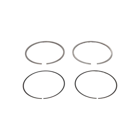 Set segmenti piston Mahle 040 02 N0