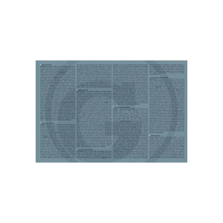 Spray pe baza de zinc deschis pentru aluminiu GRANIT 320320125 – imagine 3