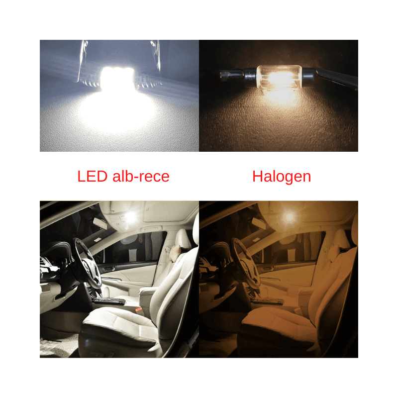 Bec LED auto C5W CSP 6000k alb rece cu canbus SV8.5 12V pentru numarul de inmatriculare sau plafon