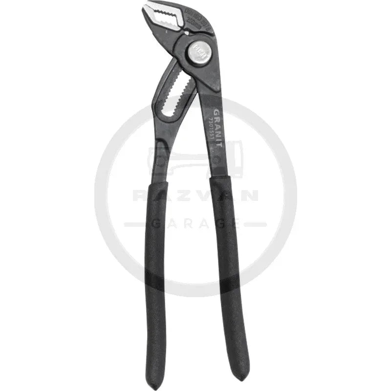 cleste-papagal-eliberare-rapida-250-1