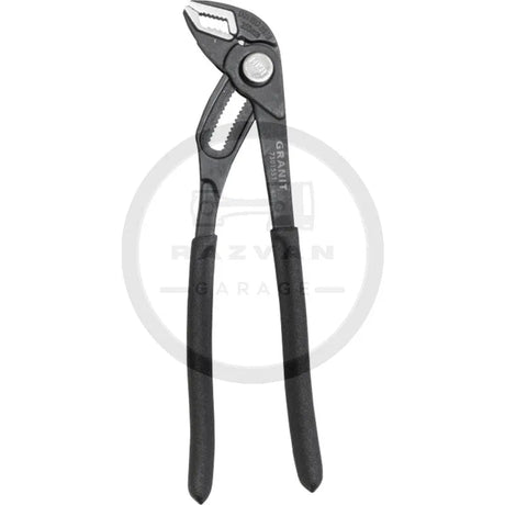 Cleste Papagal eliberare rapida 250