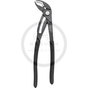 cleste-papagal-eliberare-rapida-300-1