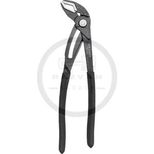 cleste-papagal-eliberare-rapida-300-1