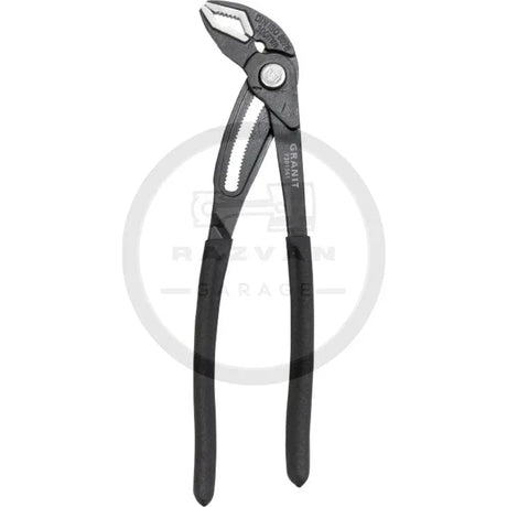 cleste-papagal-eliberare-rapida-300-1