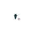 clips-tapiterie-pentru-grup-vag-8x21mm-negru-set-10-buc-1