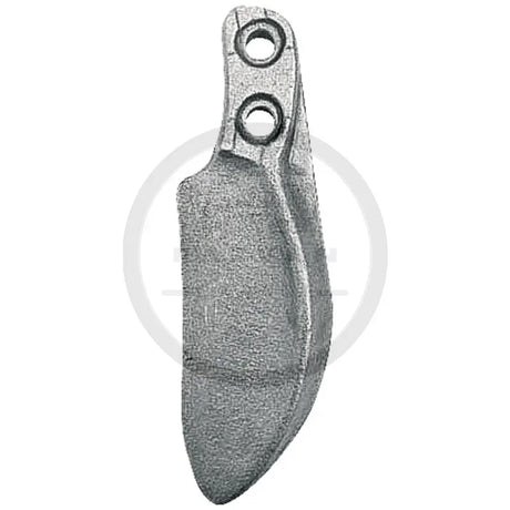 dinte-grapa-1