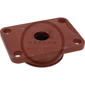 Placa elastica strangere