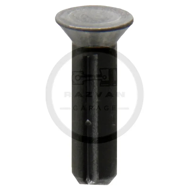 prizon-1