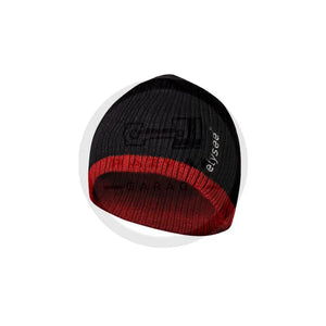 sapca-1