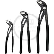 set-clesti-tip-papagal-1