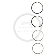 set-segmenti-piston-1