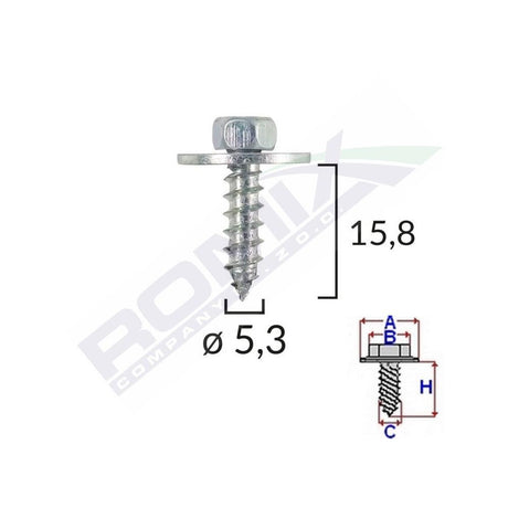 Surub cu saiba ford opel 5.5x19mm set 10 buc